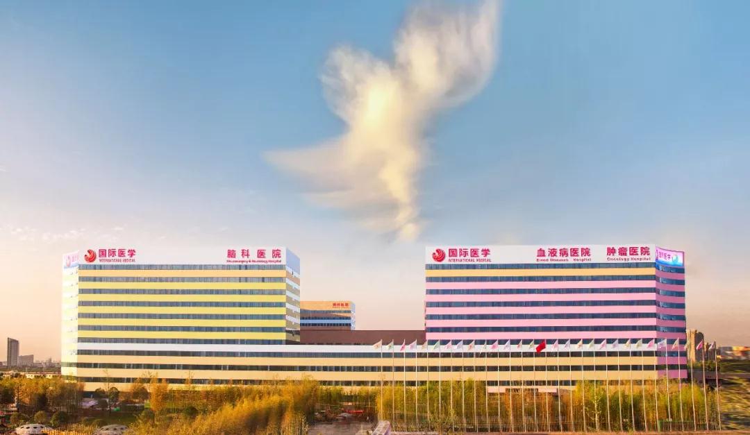我院援鄂醫(yī)療隊榮獲陜西省抗擊新冠肺炎疫情先進集體 王海昌、韓新鵬、陳麗獲陜西省抗擊新冠肺炎疫情先進個人