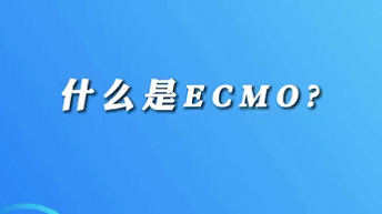 【名醫(yī)面對面之心臟100問】什么是ECMO？