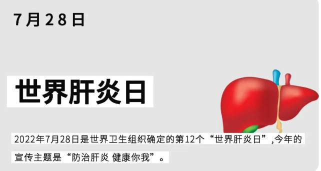世界肝炎日｜關(guān)于乙肝，你應(yīng)該知道這些
