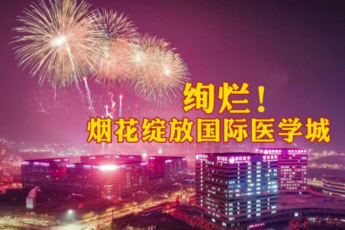 絢爛！煙花綻放國(guó)際醫(yī)學(xué)城